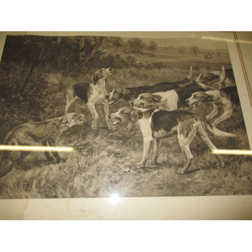 192 - Two large antique prints of hunting hounds, each approx. 110x88cm both in glazed frames with general... 