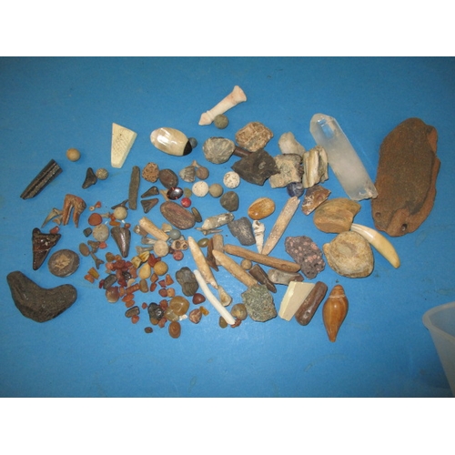 276 - A parcel of fossils and mineral samples, all in used condition