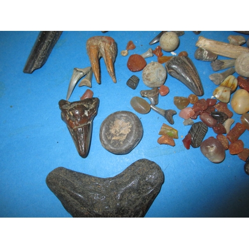 276 - A parcel of fossils and mineral samples, all in used condition