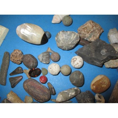 276 - A parcel of fossils and mineral samples, all in used condition