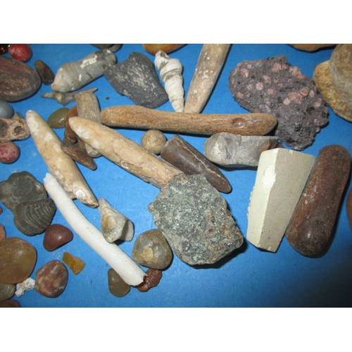 276 - A parcel of fossils and mineral samples, all in used condition