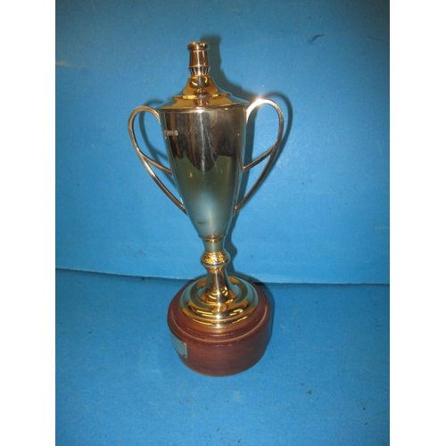 83 - A 9ct gold trophy on wood base with 9ct gold plaque, approx. weight of trophy with out base 165.8g h... 