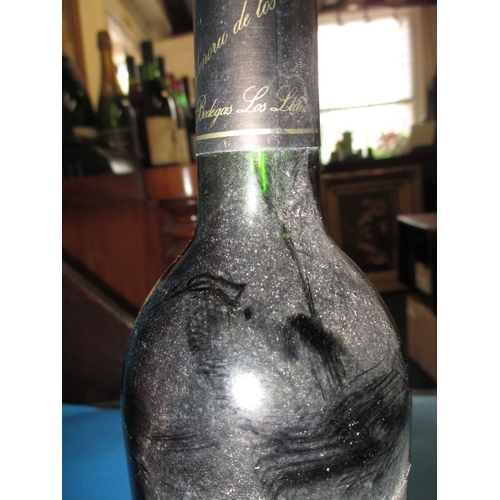 347 - 4 Bottles of 1999 Valdepenas Senorio de .los llanos Gran reserva wine, all cellar stores and in asso... 