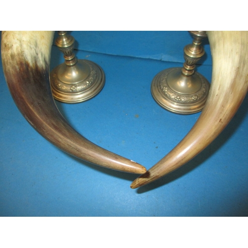 251 - A large pair of vintage WMF horn cornucopia desk ornaments, having plated mounts and vacant cartouch... 