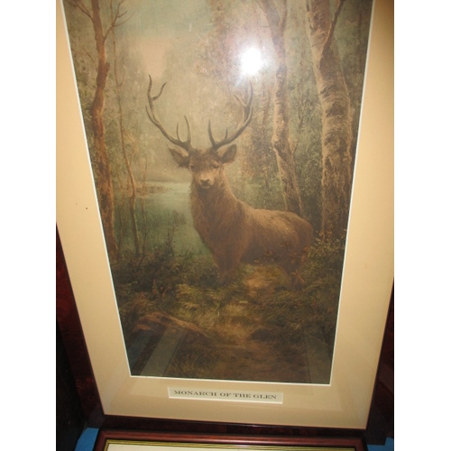 20 - 6 Game scene prints in glazed frames, approx. size of largest 78x60cm, all in useable pre-owned cond... 