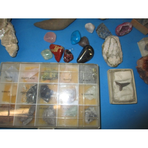 33 - A collection of rocks, crystals and fossils, all in used condition