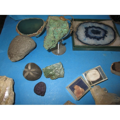 33 - A collection of rocks, crystals and fossils, all in used condition