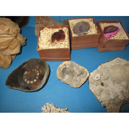 33 - A collection of rocks, crystals and fossils, all in used condition