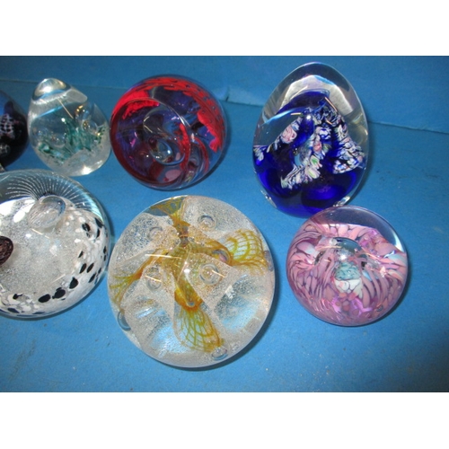 36 - A collection of Caithness glass paperweights, one with 2 bumps, all others with no observed damage