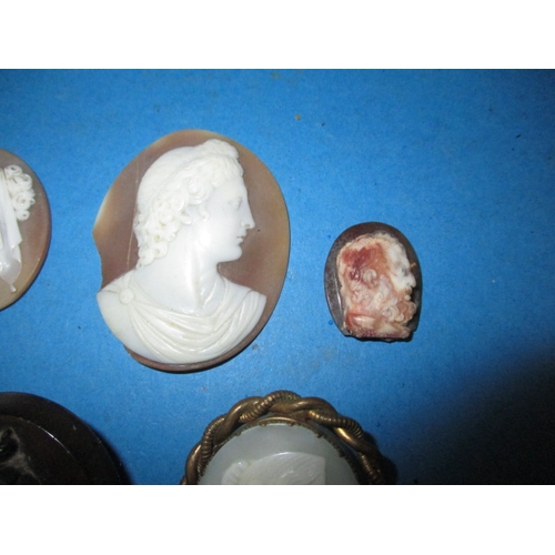 94 - A parcel of carved shell and other cameo’s, most unmounted, various sizes