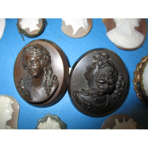 94 - A parcel of carved shell and other cameo’s, most unmounted, various sizes