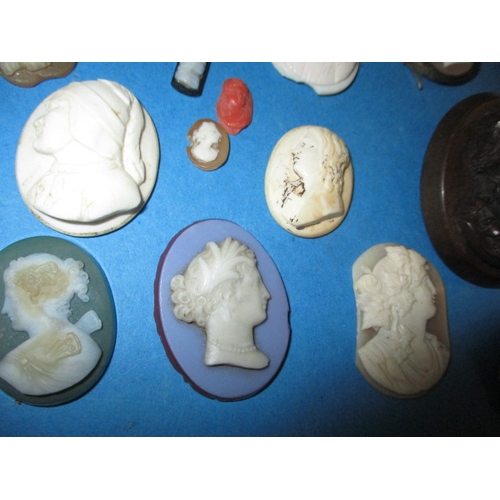 94 - A parcel of carved shell and other cameo’s, most unmounted, various sizes