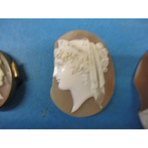 94 - A parcel of carved shell and other cameo’s, most unmounted, various sizes