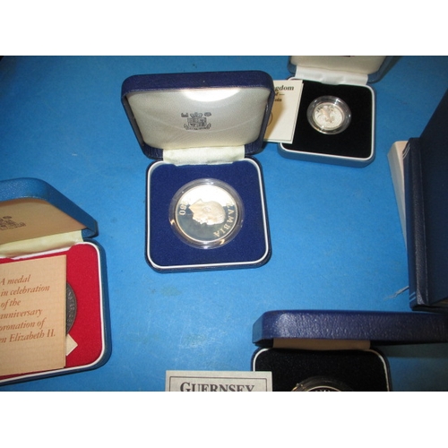 148 - A parcel of special edition collectors coins, most silver, to include Proof and Piedfort examples, a... 