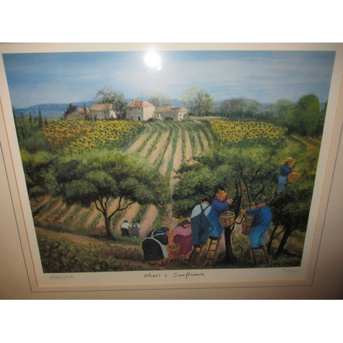 208 - 4 Limited edition prints, all 14/1950, in glazed frames each approx. 51x46cm, in good pre-owned cond... 