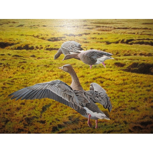 322 - A contemporary painting of pink feet geese over a Norfolk landscape, signed lower right, dated verso... 