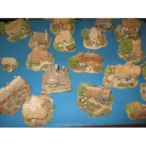 Lot 53        