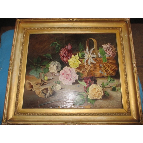 Lot 24        
