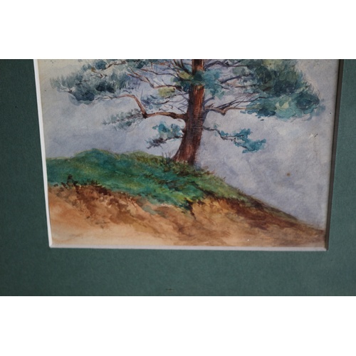 27 - Framed & Glazed Mid 1900's Watercolour of a Single Large Tree