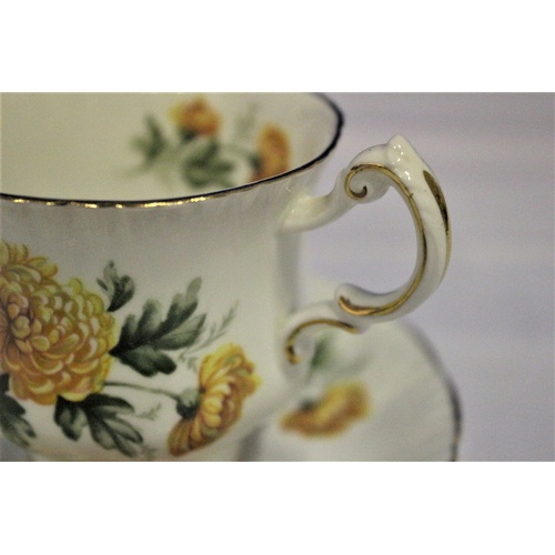 33 - Single Ornately Decorated Vintage Fine Bone China Cup and Saucer from Paragon