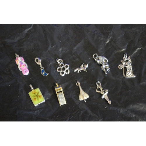 195 - A Mixed Collection of 10 Modern Charms and Pendants