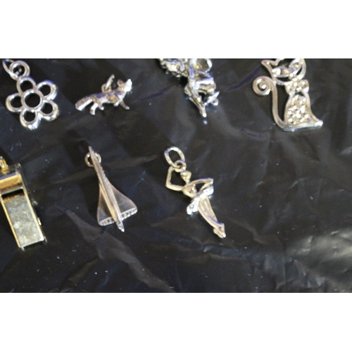 195 - A Mixed Collection of 10 Modern Charms and Pendants