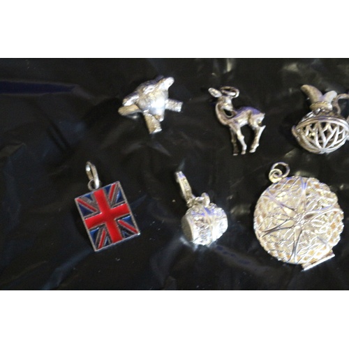 196 - A Mixed Collection of 10 Modern Charms and Pendants #2