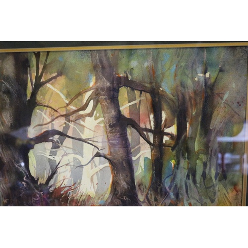 199 - Large and Impressive Mounted and Framed Abstract Watercolour Painting of a Woodland Scene - Signed B... 