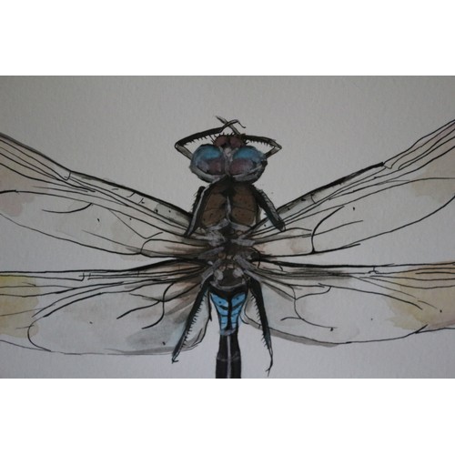 14 - Original Detailed Watercolour and Ink Painting of a Dragonfly - Signed by the Artist #1