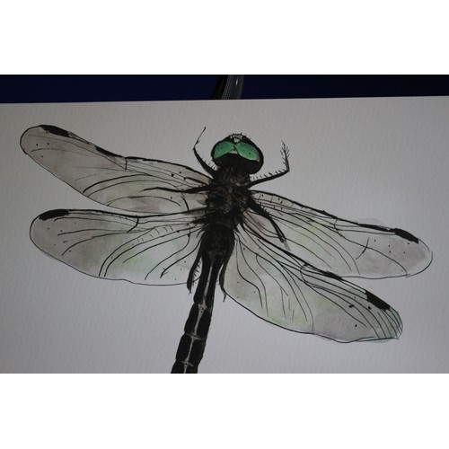 16 - Original Detailed Watercolour and Ink Painting of a Dragonfly Species - Signed by the Artist #3