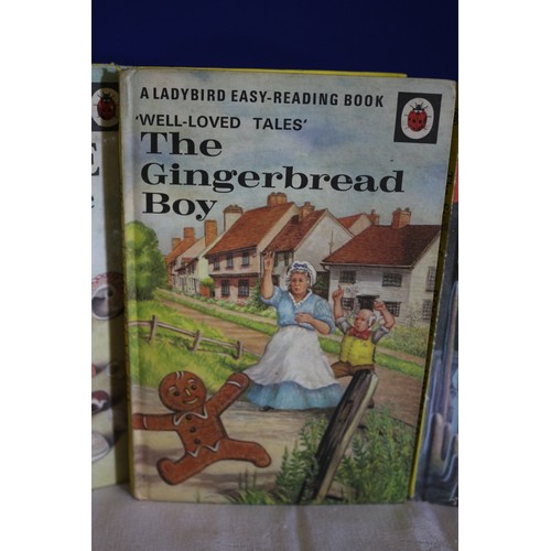 32 - Collection of Ladybird Books