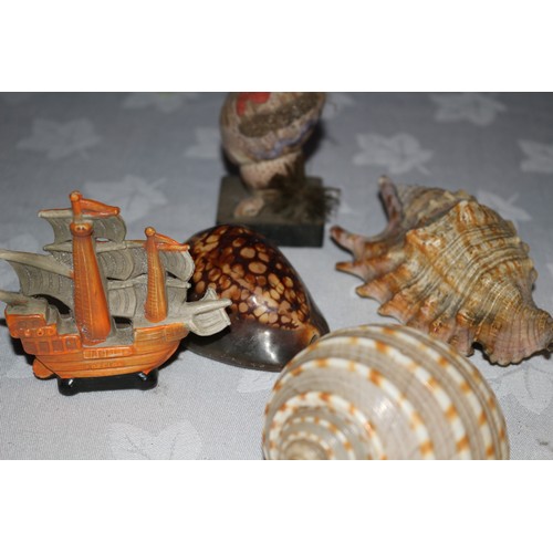 39 - Collection of Old Shells Plus a Vintage Shell Lady