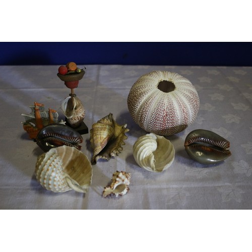 39 - Collection of Old Shells Plus a Vintage Shell Lady