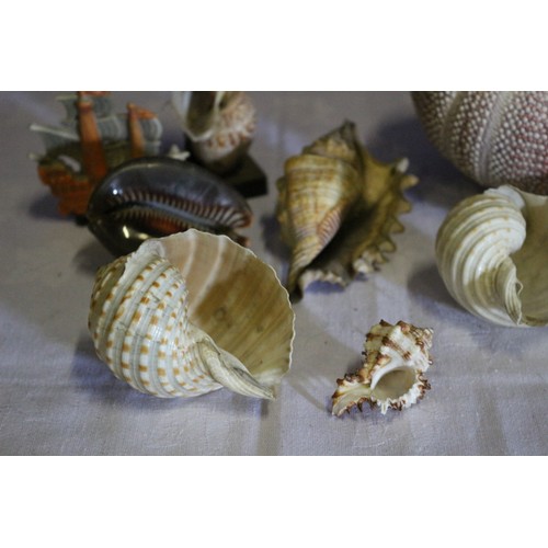 39 - Collection of Old Shells Plus a Vintage Shell Lady