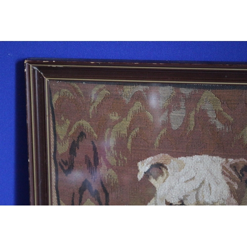 37 - Vintage Framed and Glazed Tapestry of a Bull Dog