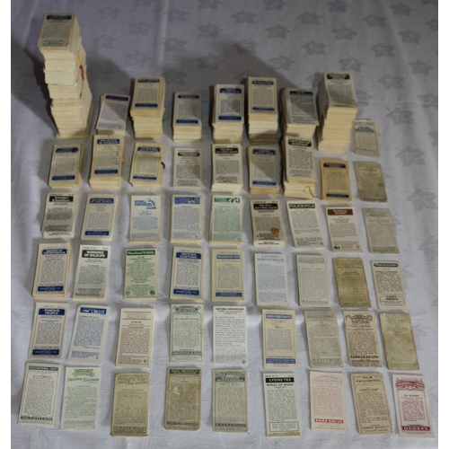 205 - Large Collection of Tea and Cigarette Cards