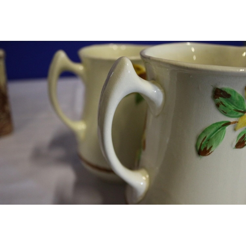 221 - Pair of Decorative Vintage Jugs with Raised Floral Design