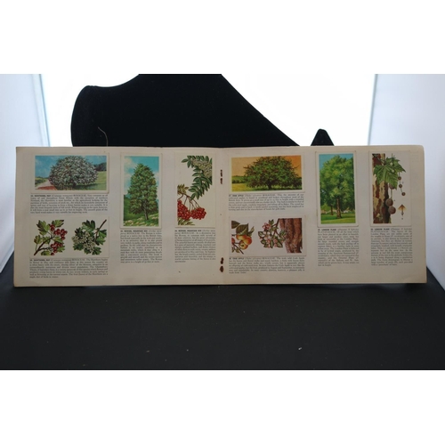 265 - Trees in Britain - Brooke Bond Tea / Picture Cards - Complete Set