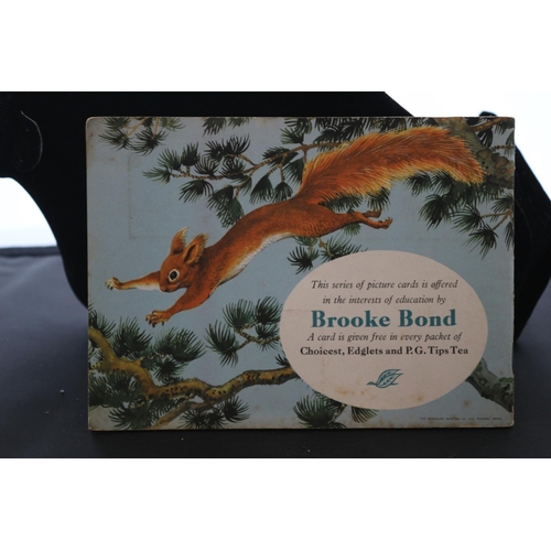 271 - British Wild Life - Brooke Bond Tea / Picture Cards - Complete Set