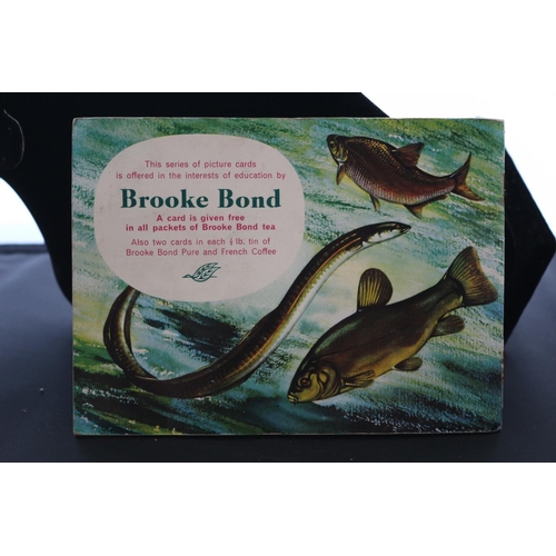 272 - Album for Freshwater Fish - Brooke Bond Tea / Picture Cards - Complete Set