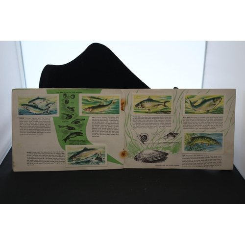 272 - Album for Freshwater Fish - Brooke Bond Tea / Picture Cards - Complete Set