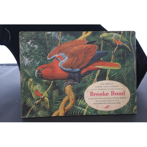 273 - Tropical Birds - Brooke Bond Tea / Picture Cards - Complete Set