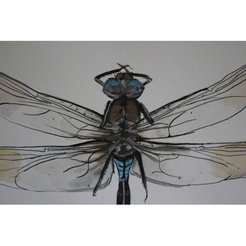 348 - Original Detailed Watercolour and Ink Painting of a Dragonfly - Signed by the Artist #1