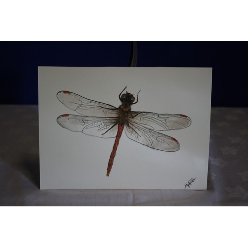 349 - Original Detailed Watercolour and Ink Painting of a Dragonfly Species - Signed by the Artist #2