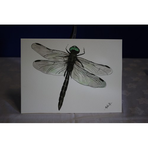 350 - Original Detailed Watercolour and Ink Painting of a Dragonfly Species - Signed by the Artist #3