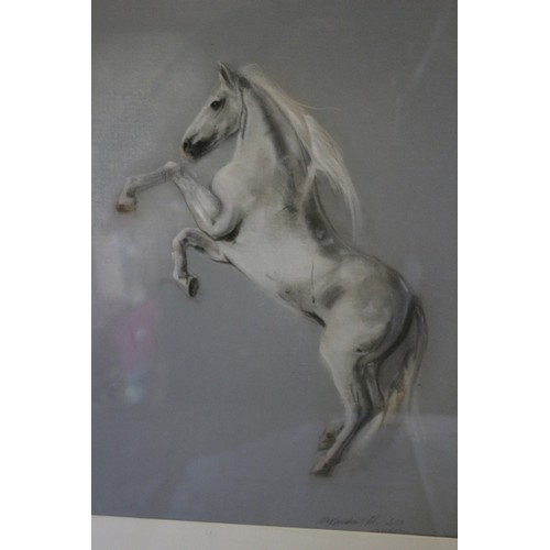 358 - Large and Heavy, 36in x 28in - Exhibited, Impressive Watercolour on Card Painting of a Rearing Horse... 