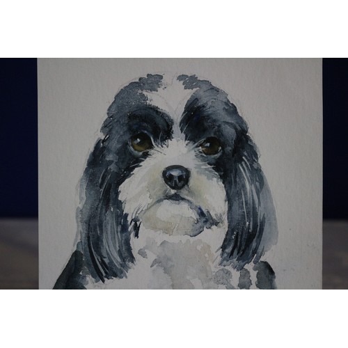 390 - Original Watercolour Painting of a Shih zhu Dog Signed by Jayne Marie