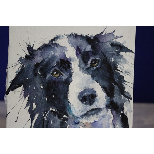 391 - Original Watercolour Painting of a Border Collie Dog Signed by the Artist Jayne Marie