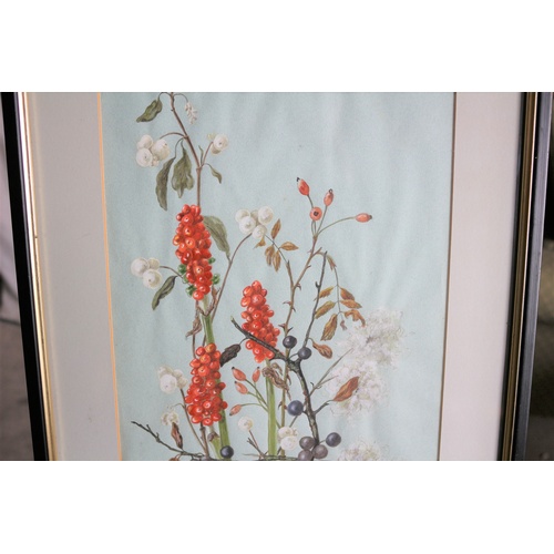 664 - Framed & Glazed Original Watercolour of Horticultural Plant by K. A. Flack - 1980's - Commissioned f... 