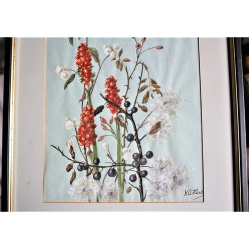 664 - Framed & Glazed Original Watercolour of Horticultural Plant by K. A. Flack - 1980's - Commissioned f... 